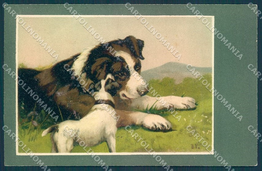 Animals BT Dog Saint Bernard Jack Russell cartolina postcard TW1222 – fronte