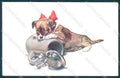 Animals Dog Puppy BKWI 607-2 cartolina postcard TW1223 – fronte