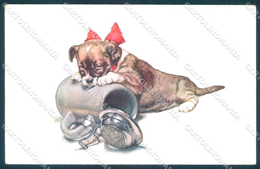Animals Dog Puppy BKWI 607-2 cartolina postcard TW1223 – fronte