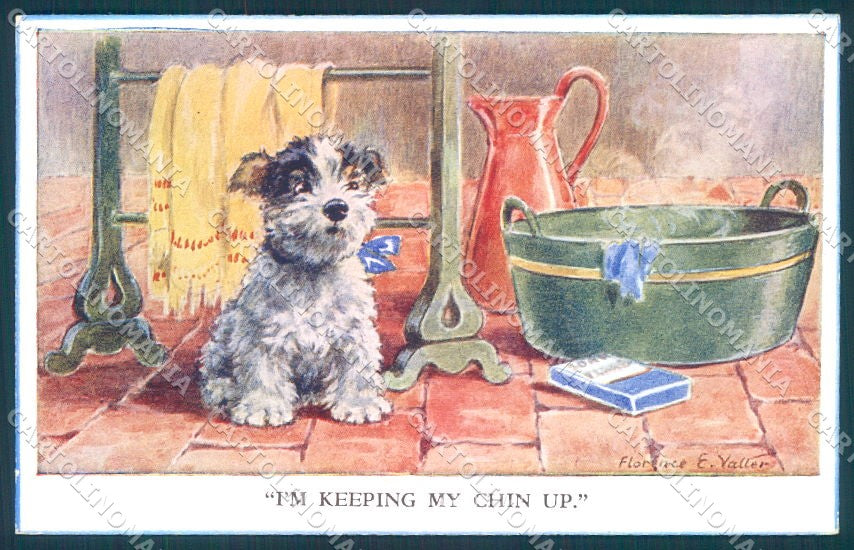 Animals Florence Valter Dog Cairn Terrier ? Valentines 4615 postcard TW1232 – fronte