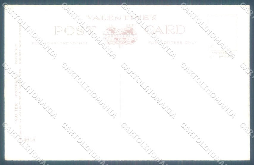 Animals Florence Valter Dog Cairn Terrier ? Valentines 4615 postcard TW1232 – retro