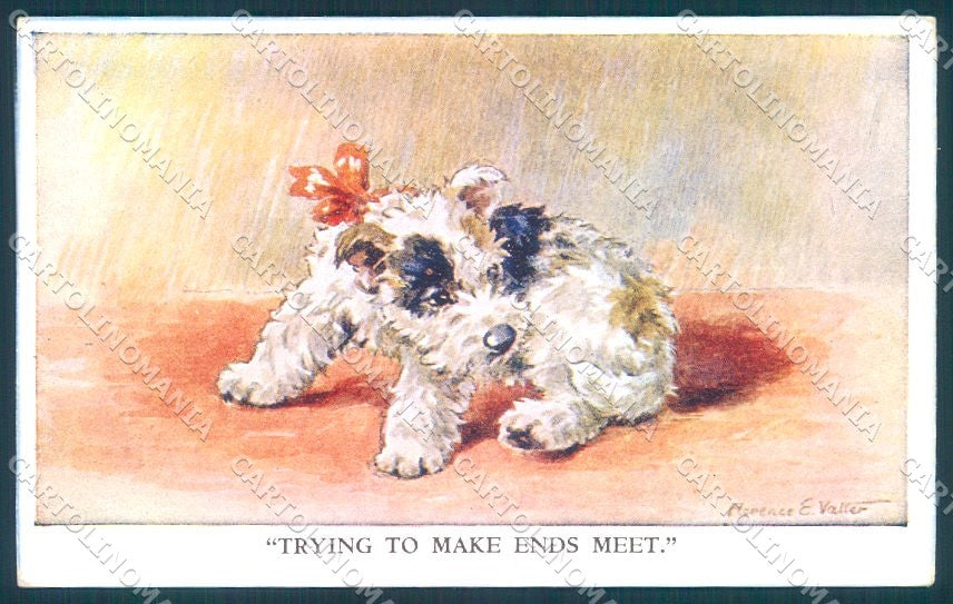 Animals Florence Valter Dog Cairn Terrier ? Valentines 740 postcard TW1234 – fronte
