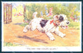 Animals Florence Valter Dog Cairn Terrier ? Valentines 541 postcard TW1237 – fronte