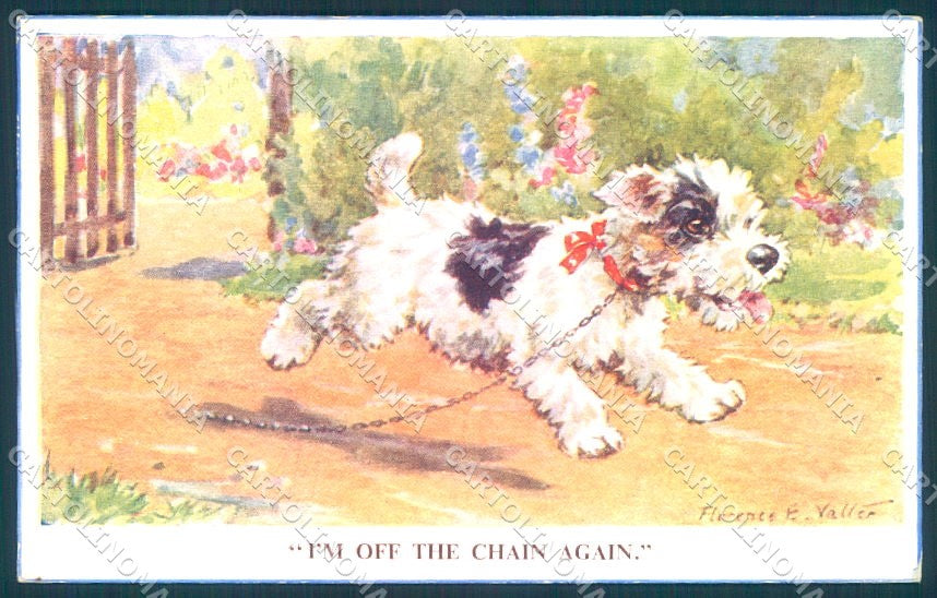 Animals Florence Valter Dog Cairn Terrier ? Valentines 541 postcard TW1237 – fronte