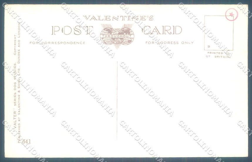 Animals Florence Valter Dog Cairn Terrier ? Valentines 541 postcard TW1237 – retro