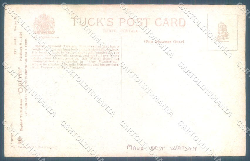 Animals Maud West Watson Dandie Dinmont Terrier Dog Tuck Oilette postcard TW1240 – retro