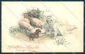 Animals Dog Puppy Pig Child Mistletoe New Year serie 95301 postcard TW1256 – fronte