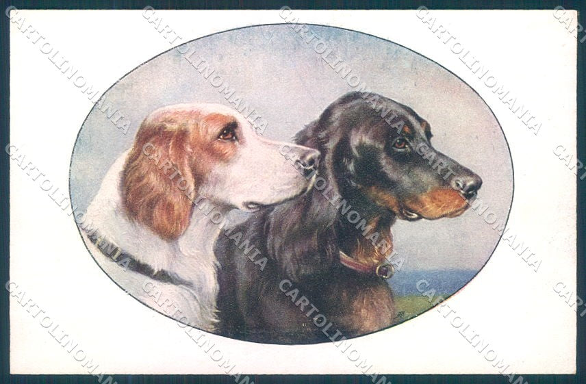 Animals Reichert Dog Setter MM Vienne 1219 cartolina postcard TW1258 – fronte