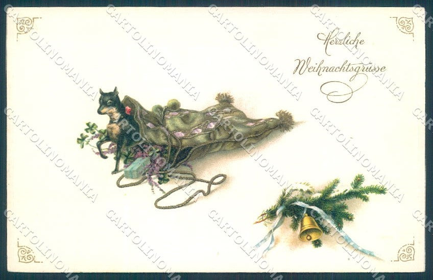 Animals Dog German Pinscher Pittius cartolina postcard TW1264 – fronte