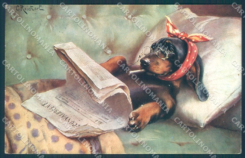 Animals Reichert Dog Dachshund Newspaper TSN 1010 cartolina postcard TW1277 – fronte