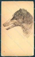 Animals Dog Borzoi Barzoi cartolina postcard TW1278 – fronte