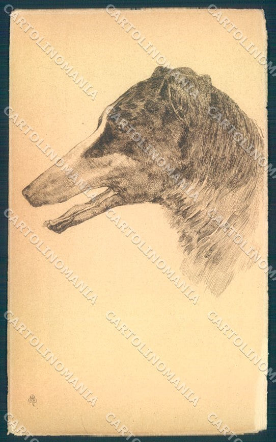 Animals Dog Borzoi Barzoi cartolina postcard TW1278 – fronte