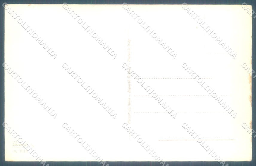 Animals Norfini Dog Fox Terrier serie 1044 cartolina postcard TW1290 – retro