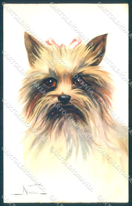 Animals Norfini Dog Yorkshire serie 1044 cartolina postcard TW1295 – fronte