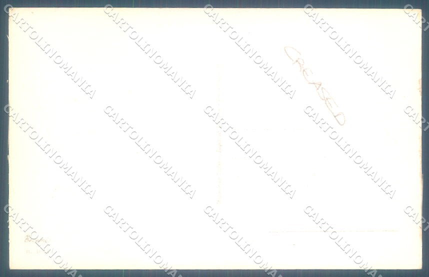 Animals Norfini Dog Bracco serie 1044 CREASED cartolina postcard TW1296 – retro