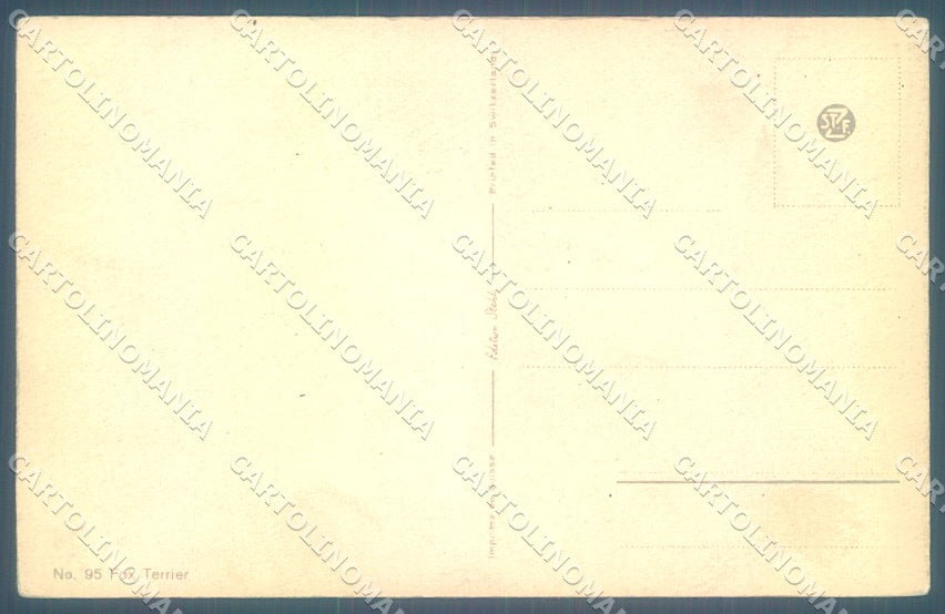 Animals Rivst Dog Fox Terrier serie 95 cartolina postcard TW1300 – retro