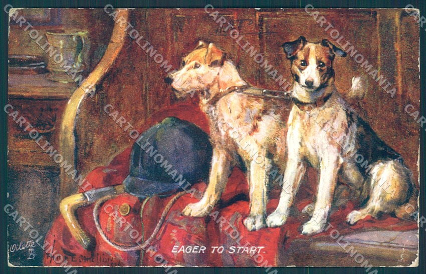 Animals Philip Stretton Dog Fox Terrier Tucks Oilette 9376 postcard TW1303 – fronte