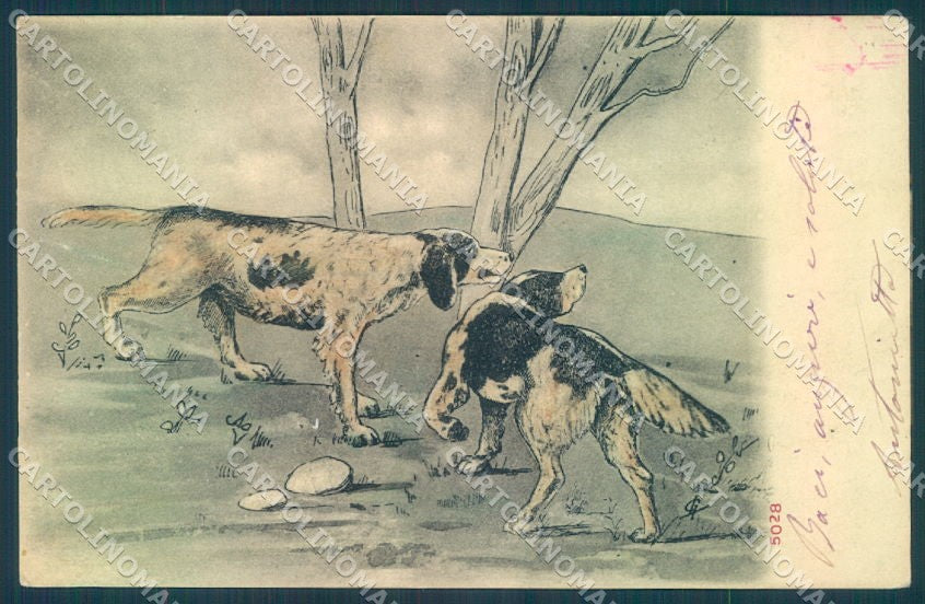 Animals Dog Setter Hunting Signed serie 5028 cartolina postcard TW1304 – fronte