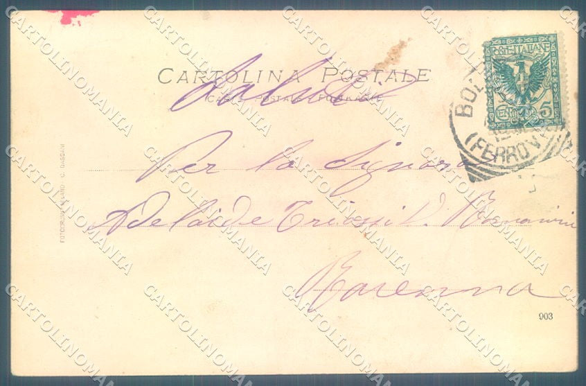 Animals Dog Setter Hunting Signed serie 5028 cartolina postcard TW1304 – retro