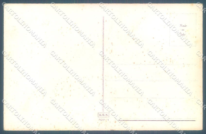 Animals Norfini Dog Bracco Italiano serie 707-1 cartolina postcard TW1305 – retro