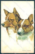 Animals Norfini Dog Lapponian Herder serie 707-2 cartolina postcard TW1307 – fronte