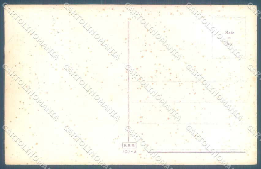 Animals Norfini Dog Lapponian Herder serie 707-2 cartolina postcard TW1307 – retro