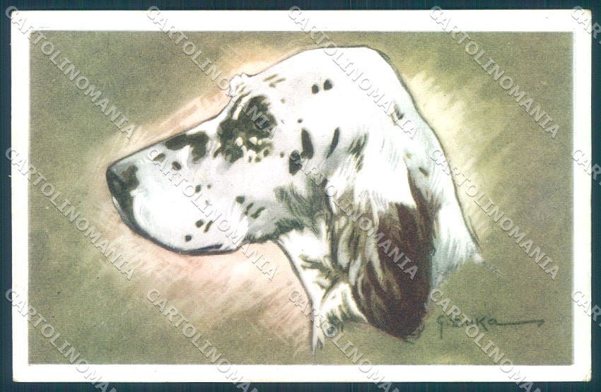 Animals Duka Dog Setter NMM serie 3000-13 cartolina postcard TW1358 – fronte