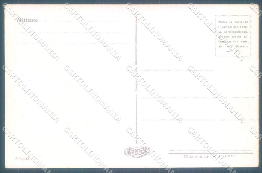 Animals Duka Dog Setter NMM serie 3000-13 cartolina postcard TW1358 – retro