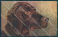 Animals Hanstein Dog Irish Setter serie 285 CORNER CREASE postcard TW1359 – fronte
