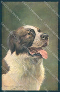Animals Muller Dog Saint Bernard serie 1193 cartolina postcard TW1365 – fronte