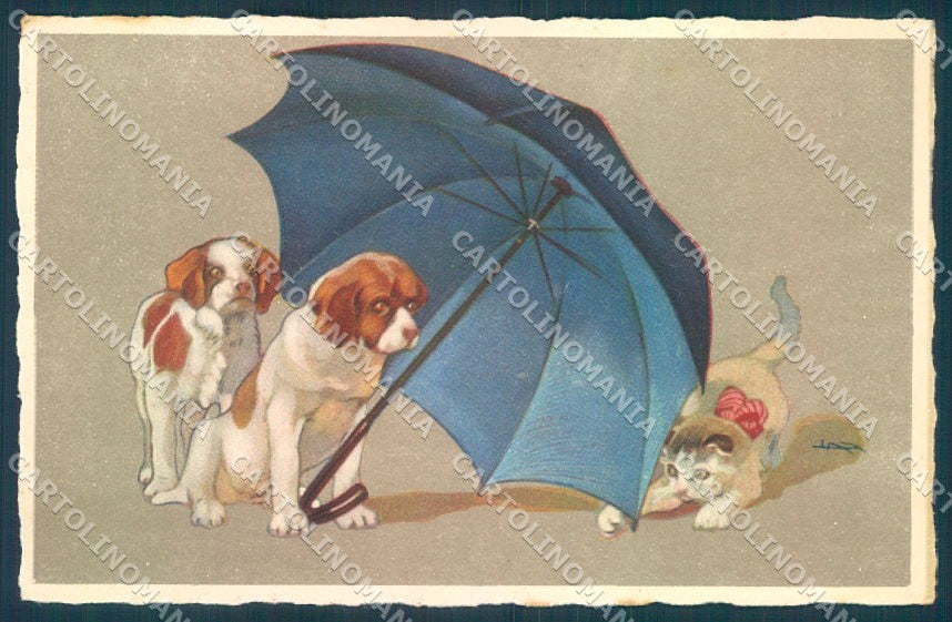 Animals Metlicovitz Dog Hunting Puppy Cat Degami 587 cartolina postcard TW1366 – fronte
