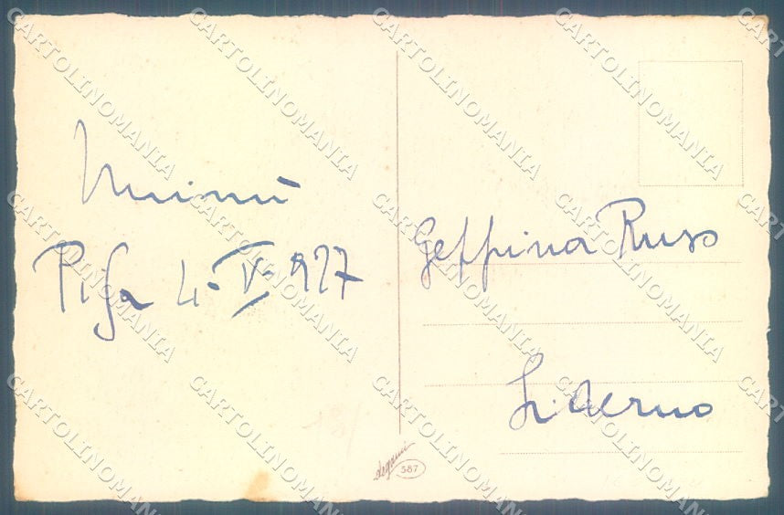 Animals Metlicovitz Dog Hunting Puppy Cat Degami 587 cartolina postcard TW1366 – retro