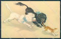 Animals Dog Poodle Cat Dondorf 310 cartolina postcard TW1367 – fronte