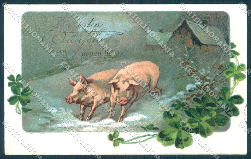 New Year Pig Four Leaf Clover cartolina postcard TW1392 – fronte