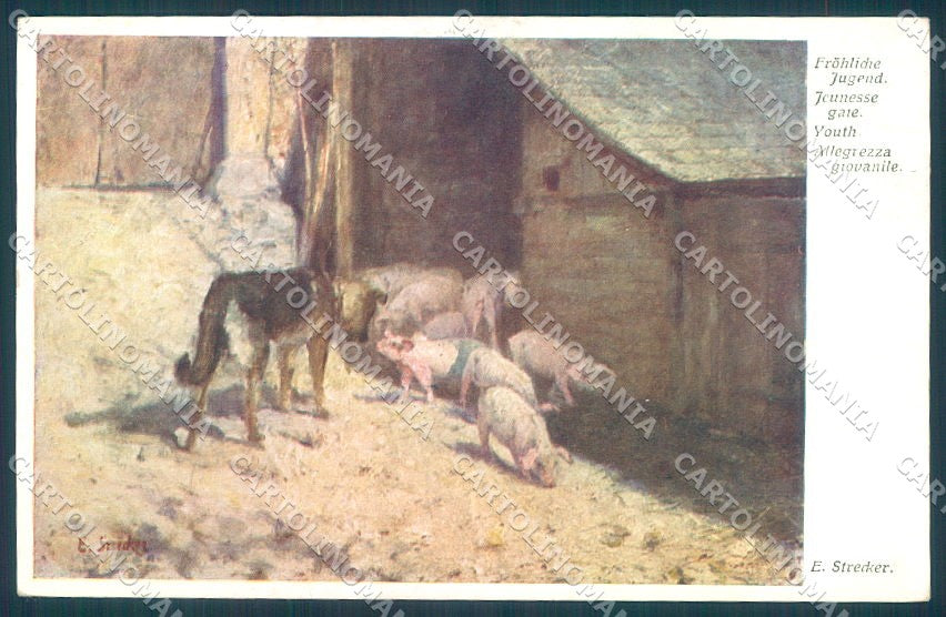 Artist Signed Strecker Animals Pig Dog BKWI 2507 cartolina postcard TW1421 – fronte