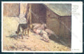 Artist Signed Strecker Animals Pig Dog BKWI 2507 cartolina postcard TW1421 – fronte
