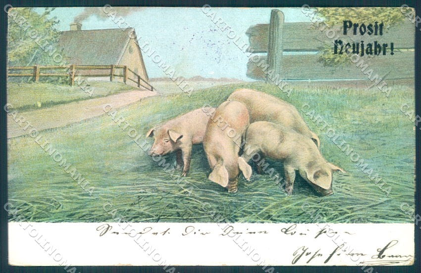New Year Pig Trenkler 299 cartolina postcard TW1426 – fronte