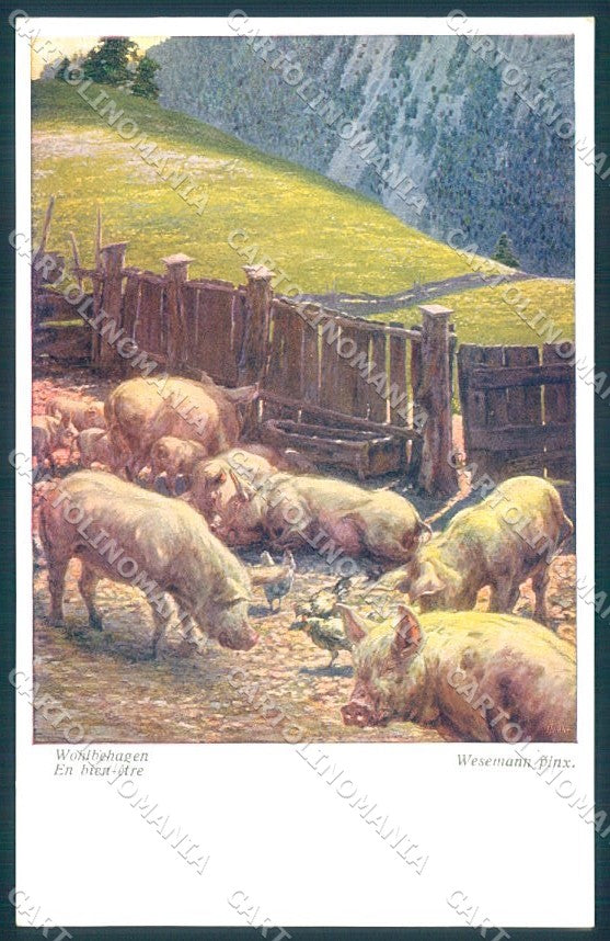 Artist Signed Wesemann Animals Pig BKWI 1650 cartolina postcard TW1432 – fronte