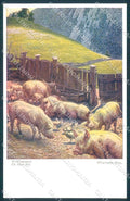 Artist Signed Wesemann Animals Pig BKWI 1650 cartolina postcard TW1432 – fronte