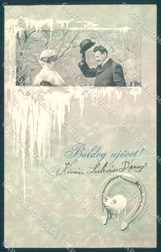 New Year Pig Horseshoe Man Lady serie 8049 cartolina postcard TW1451 – fronte