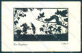 Artist Signed Pflug serie 27 Gnome Silhouette cartolina postcard TW1463 – fronte
