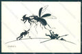 Artist Signed Josefine Allmayer Gnome Silhouette serie 1-513 Insect pc TW1481 – fronte