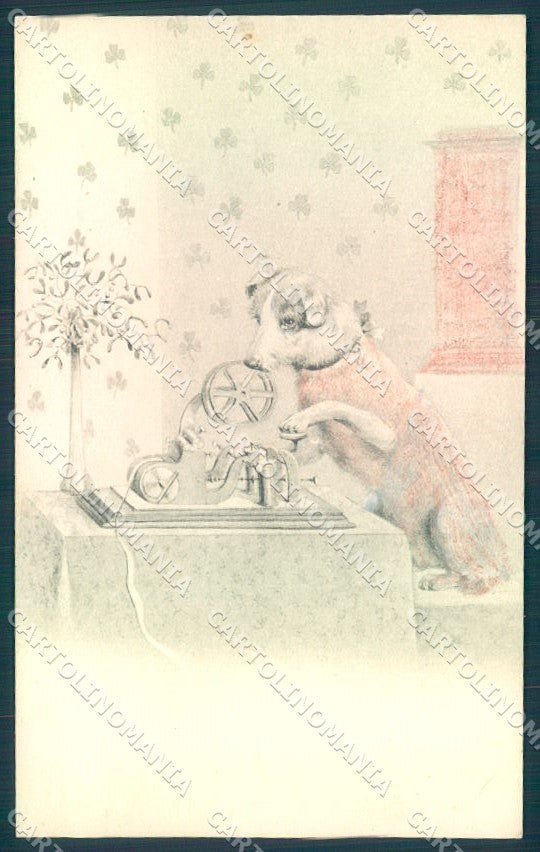 Christmas Dog Writing Telegraph CRAYON SPOTS serie 1560 postcard TW1489 – fronte
