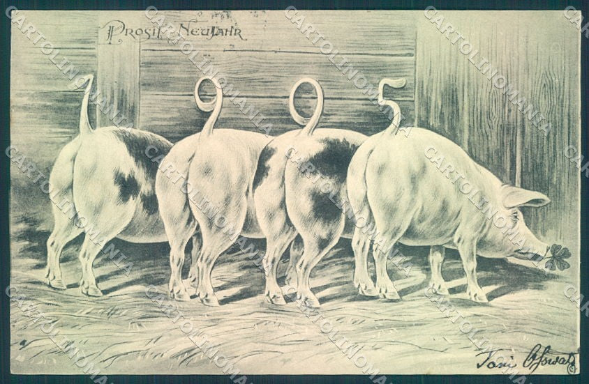 New Year 1905 Pig Four Leaf Clover cartolina postcard TW1521 – fronte