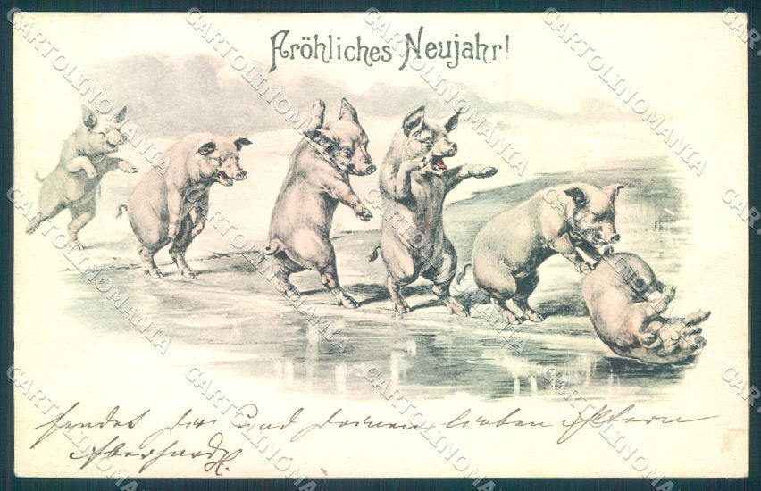 New Year Pig cartolina postcard TW1524 – fronte