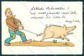 Animals Pig Man Comic cartolina postcard TW1556 – fronte