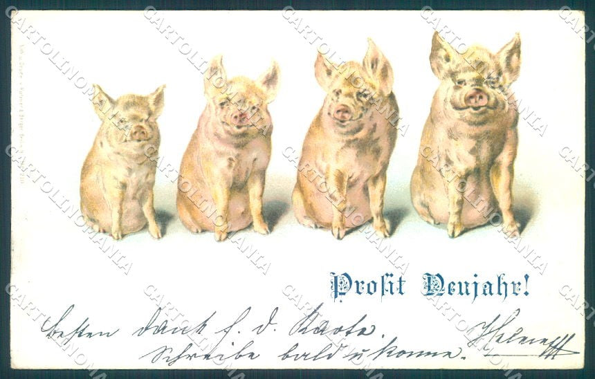 New Year Pig serie 210 cartolina postcard TW1559 – fronte