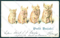 New Year Pig serie 210 cartolina postcard TW1559 – fronte