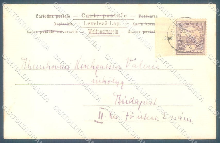 Artist Signed Viennoise Lady Fairy Cupid Pig cartolina postcard TW1589 – retro