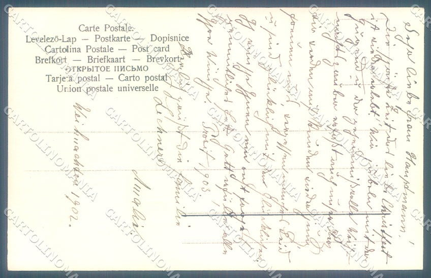 New Year 1903 Pig Four Leaf Clover Horseshoe Relief cartolina postcard TW1597 – retro